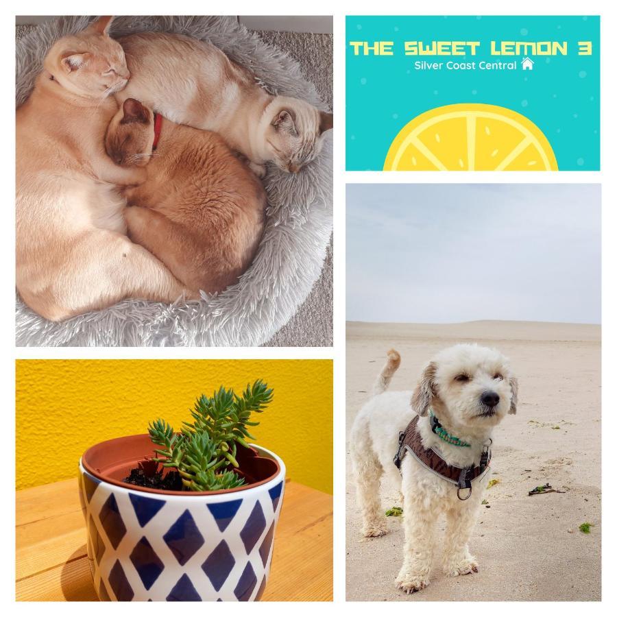 דירות בומברל The Sweet Lemon 3 מראה חיצוני תמונה